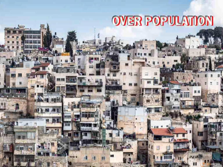THE ROOT OF ALL ADVERSITY: OVERPOPULATION