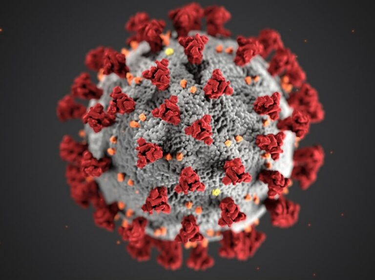 THE COVID-19 PANDEMIC: ANALYZING INDIA’S BATTLE AND CHINA’S TRANS-BOUNDARY LIABILITY