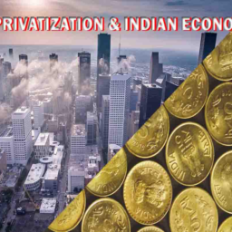 privatization