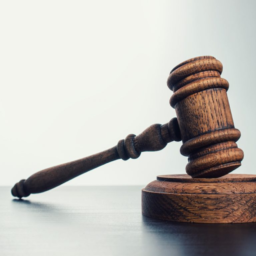 Importance of Administrative law - Golak Mahana