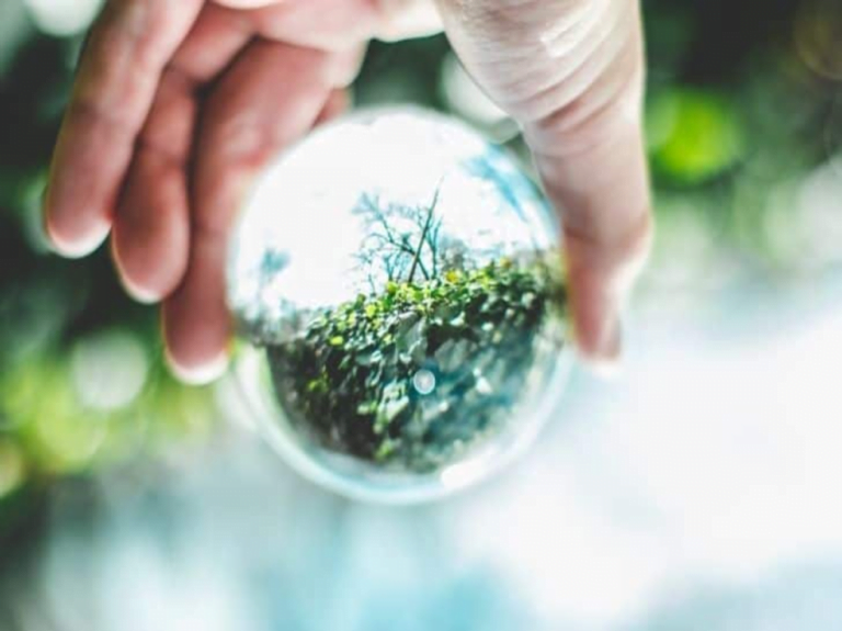 AN ANALYSIS OF ENVIRONMENT PROTECTION LAWS IN INDIA