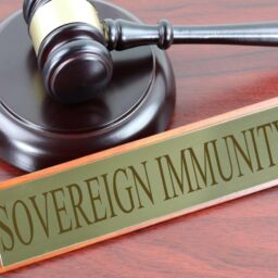 Sovereign Immunity - Shivanshika