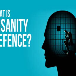 INSANITY AS A DEFENSE - Varchaswa Dubey (1)