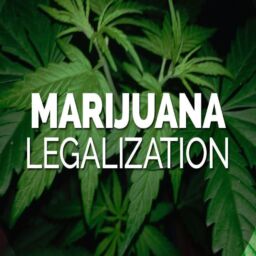 LEGALISING OF MARIJUANA IN INDIA - ISHAN GUPTA (1)
