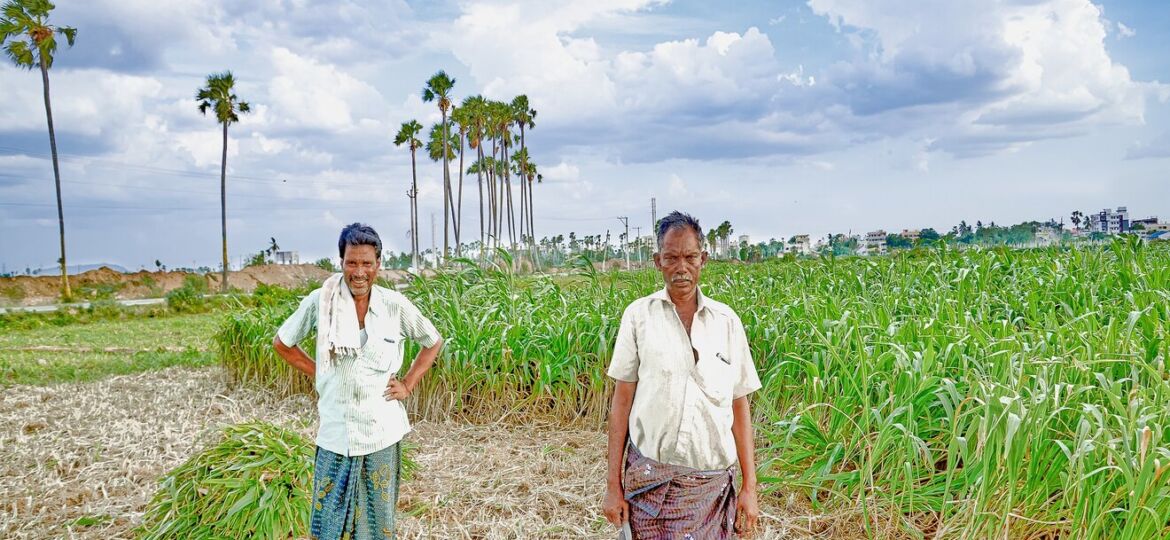 CONTRACT FARMING IN INDIA - Rakshit Gupta