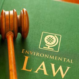 Environmental Laws - Sehaj Sarin (1)