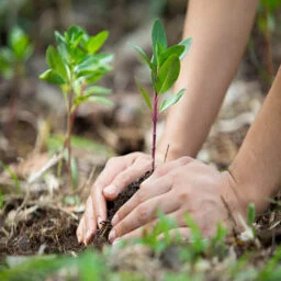 STATUTORY PROVISIONS FOR PROTECTION OF ENVIRONMENT