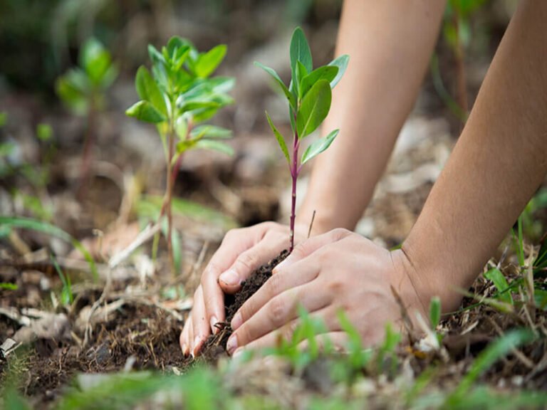 STATUTORY PROVISIONS FOR PROTECTION OF ENVIRONMENT