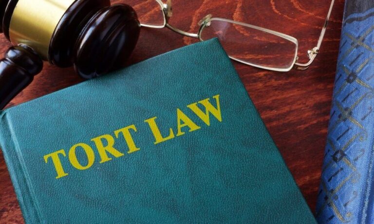 DOES LAW OF TORT DEALS WITH MORALITY