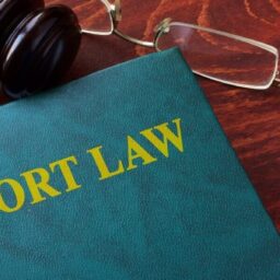 Tort & Morality - Ekta Agarwal