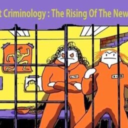 FEMINIST CRIMINOLOGY - THE RISING OF A NEW BRANCH