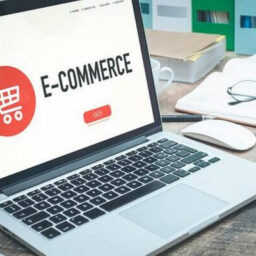 WHAT DOES THE GOVERNMENT'S PROPOSAL ON BAN OF FLASH SALE MEAN