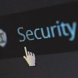 CYBERCRIMES