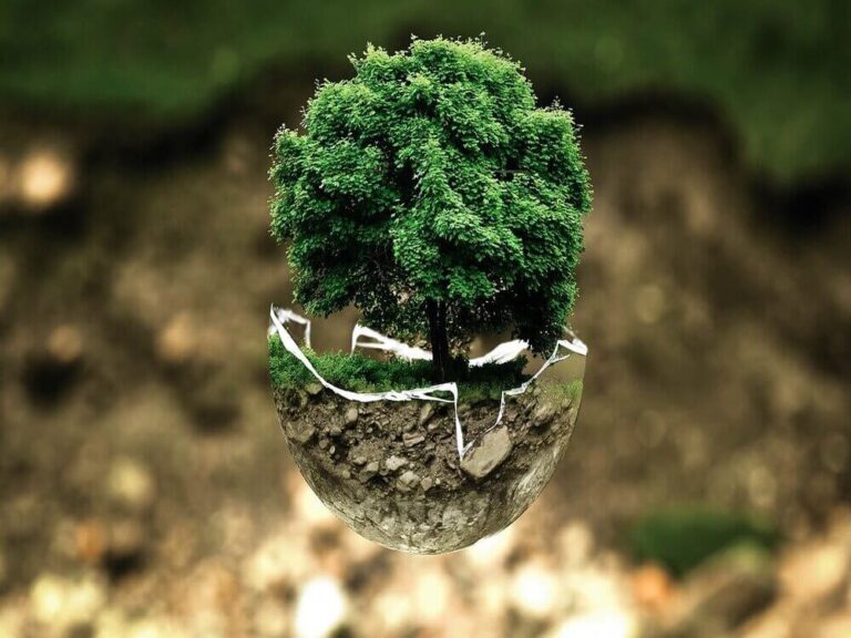 ENVIRONMENT PROTECTION