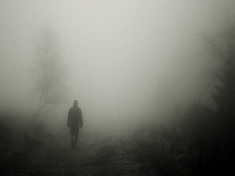 ECOCIDE