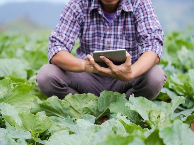 Agricultural Infrastructure Development – A Step Forward