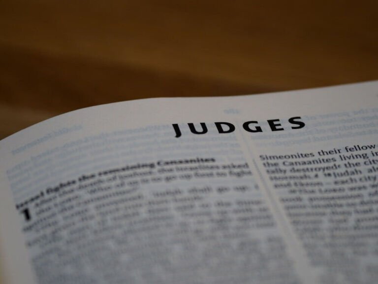 IMPLEMENTATION OF THE AI AS JUDGES