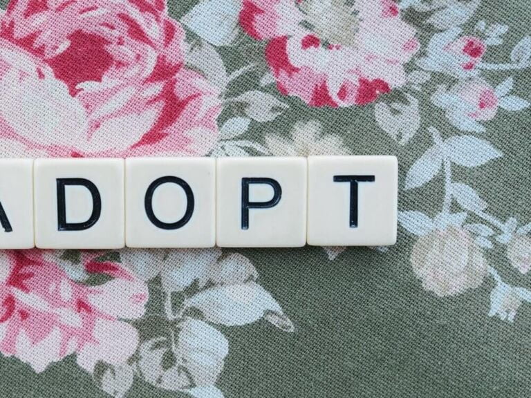 FUNDAMENTAL RIGHT TO ADOPT