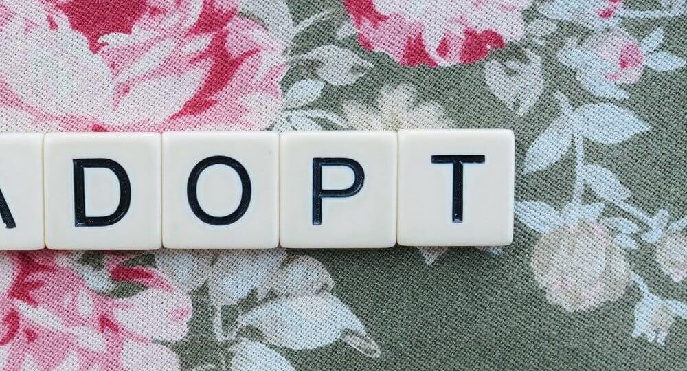 adopt