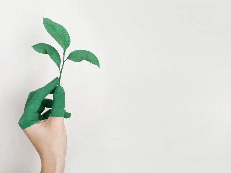 GREENWASHING: THE FALLACY OF CORPORATE ENVIRONMENTAL RESPONSIBILITY IN INDIA