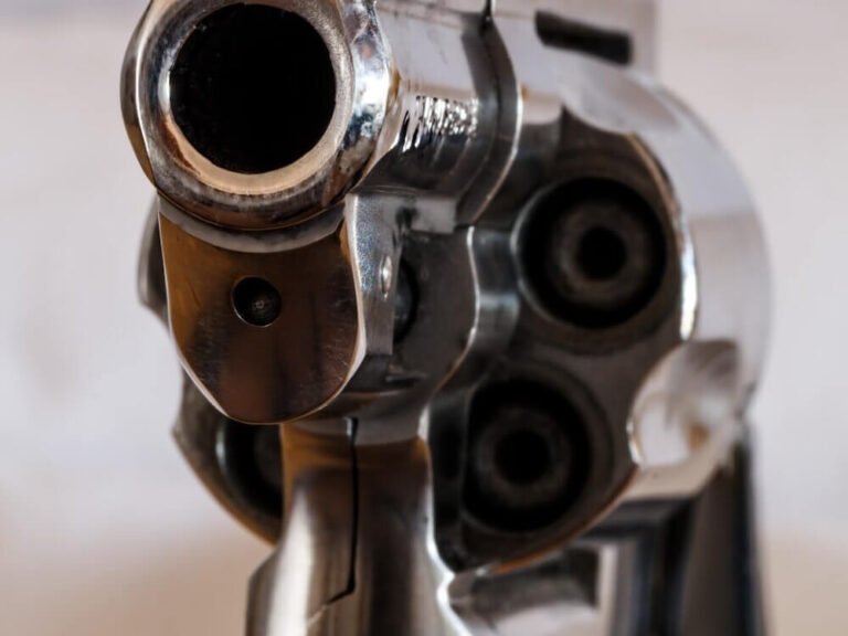 GUN VIOLENCE AND ITS RELATED LAWS IN INDIA