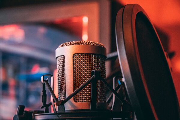 BANNING WORDS, SILENCING VOICES