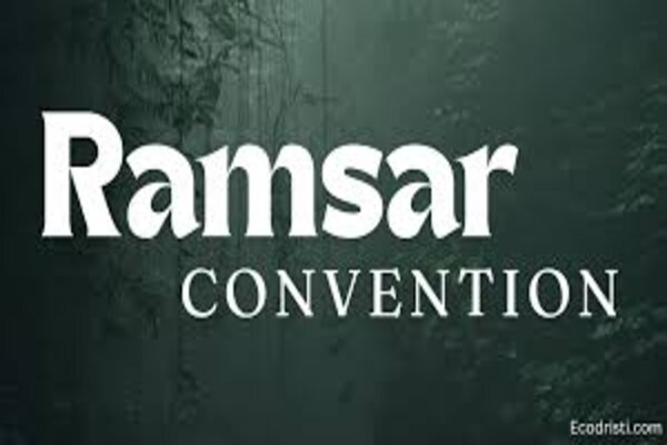 THE IMPLEMENTATION OF THE RAMSAR CONVENTION FOR THE PROTECTION OF WETLANDS IN INDIA