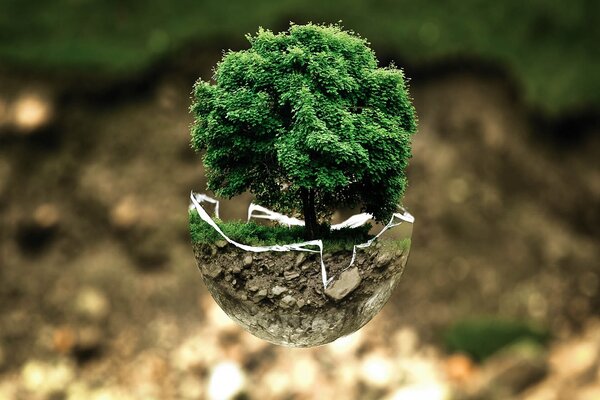 JUDICIAL ACTIVISM IN ENVIRONMENTAL LAW