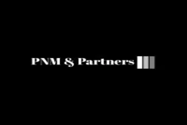 PNM & PARTNERS