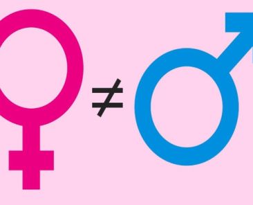 Gender Laws