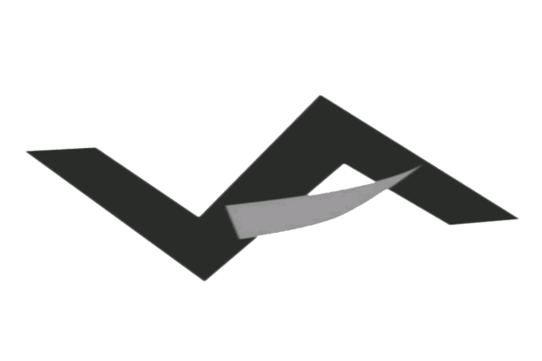 THE OFFICE VIRENDRA AGRAWAL & CO_png