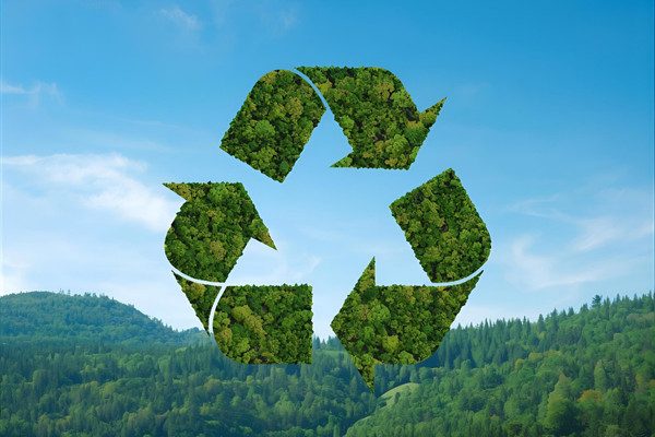 CORPORATE RESPONSIBILITY AND ACCOUNTABILITY IN ENVIRONMENTAL PROTECTION
